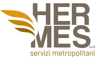 hermes servizi metropolitani rc|Hermes Servizi Metropolitani s.r.l. .